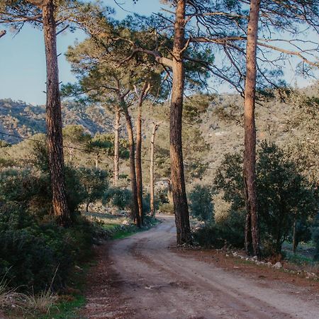 Villa Likya House - Deniz Ve Doga Manzarali, Havuzlu Patara Esterno foto