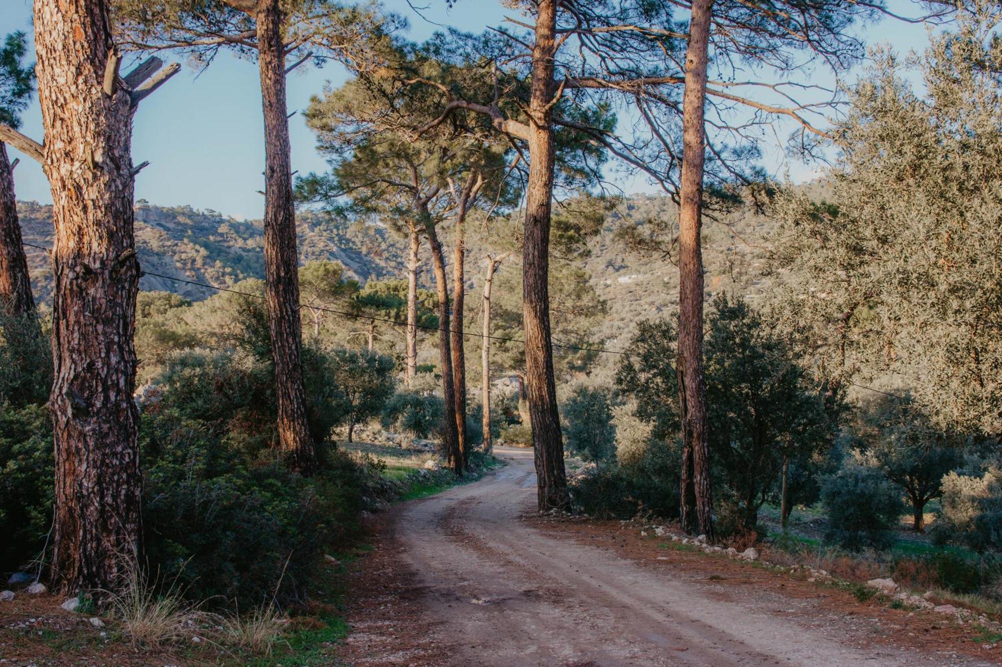 Villa Likya House - Deniz Ve Doga Manzarali, Havuzlu Patara Esterno foto